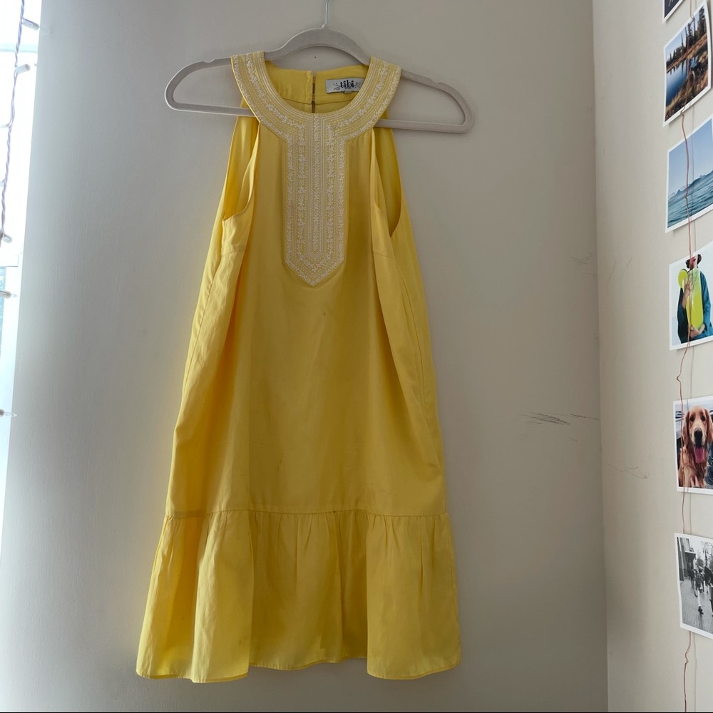Tibi Dress